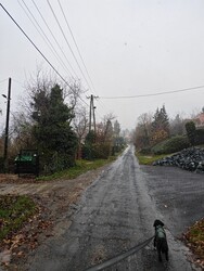 Cák