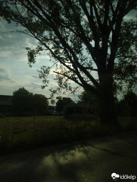Mány