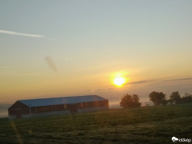 Mány