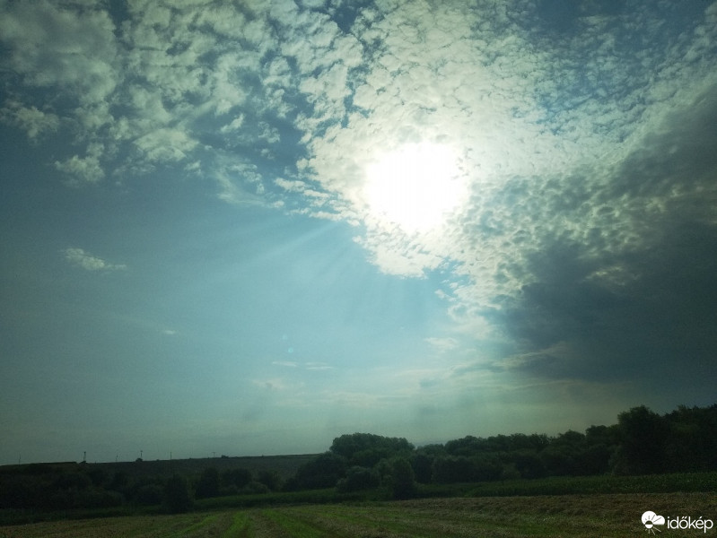 Mány