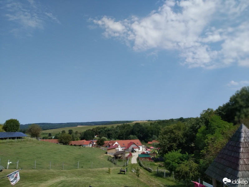 Mány