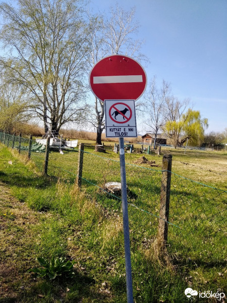 Mány