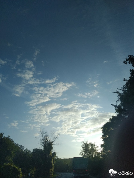 Mány