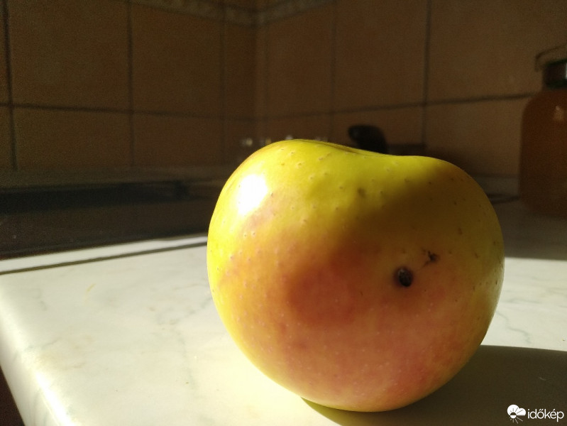Mány