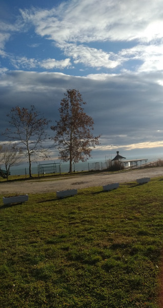 Mány