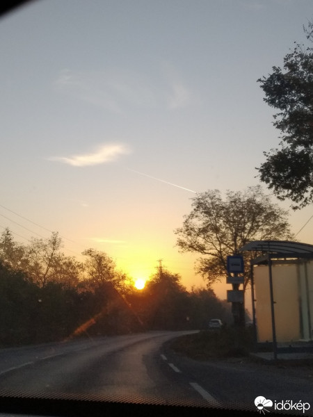 Mány