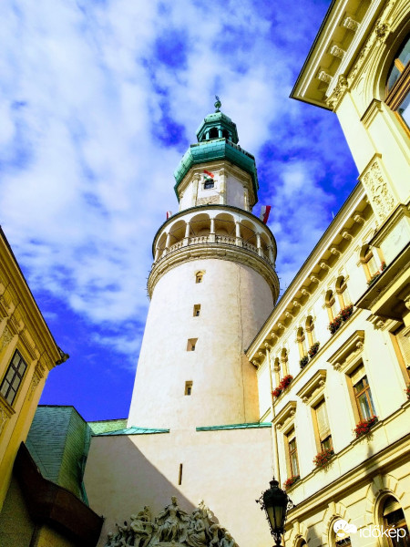 Mány