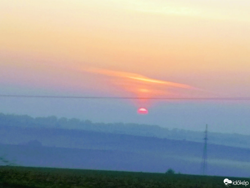 Mány