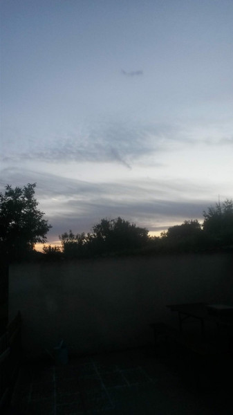 Mány