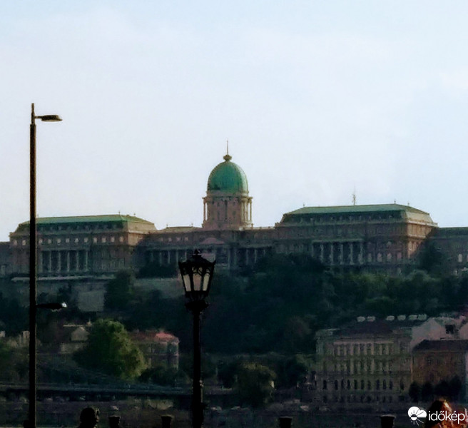 Mány