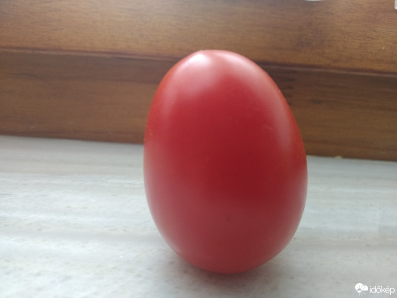 Mány