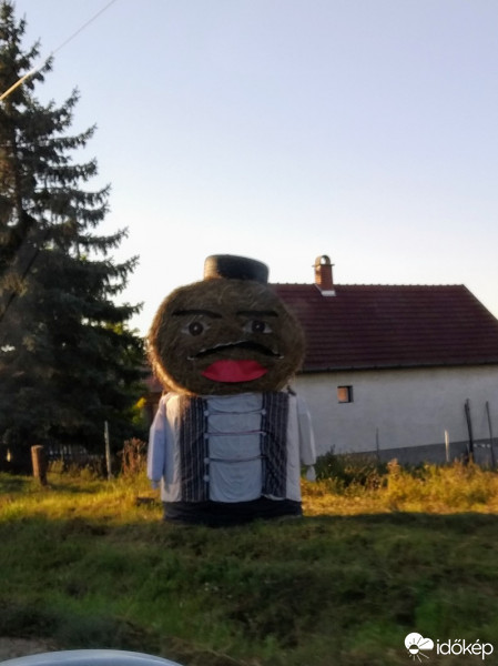 Mány