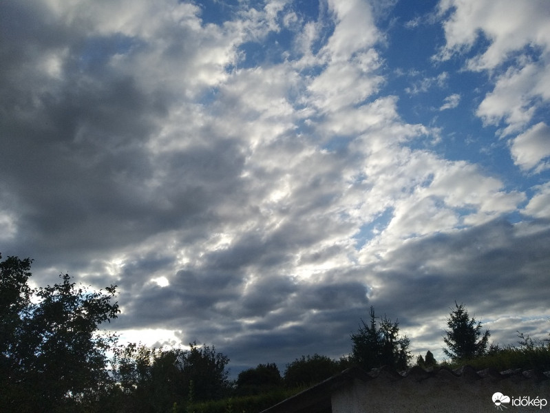 Mány