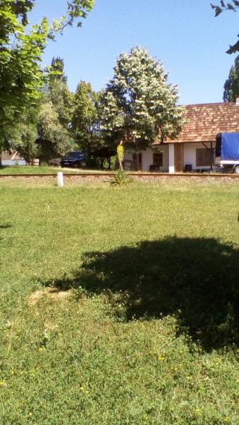 Mány
