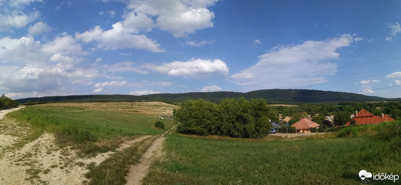 Mány