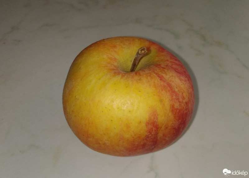 Mány