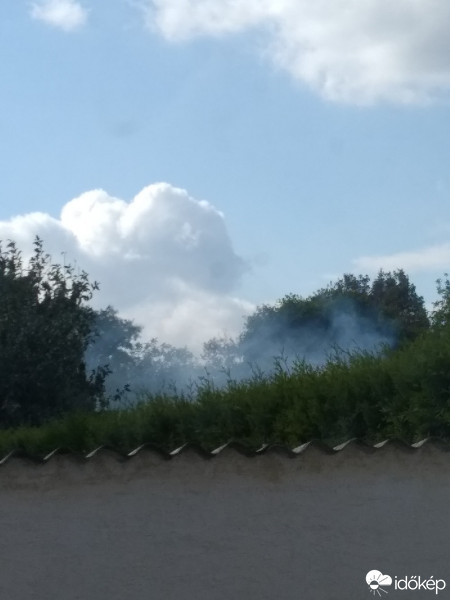 Mány