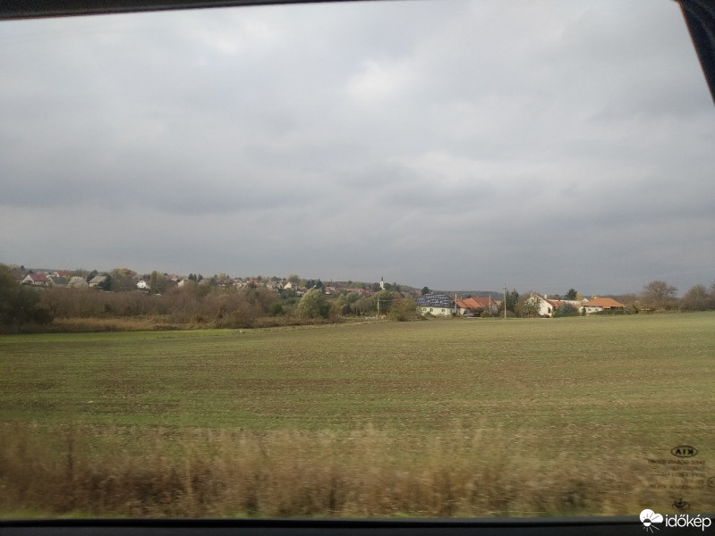 Mány