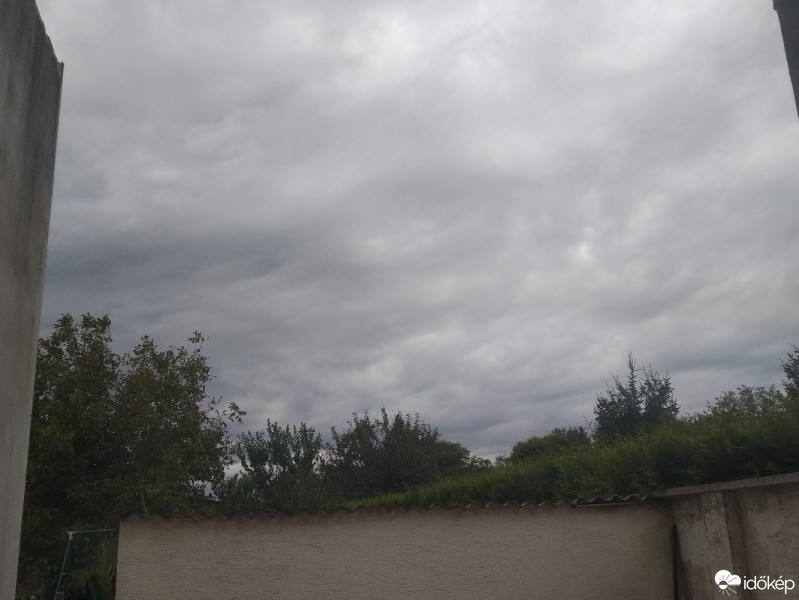 Mány