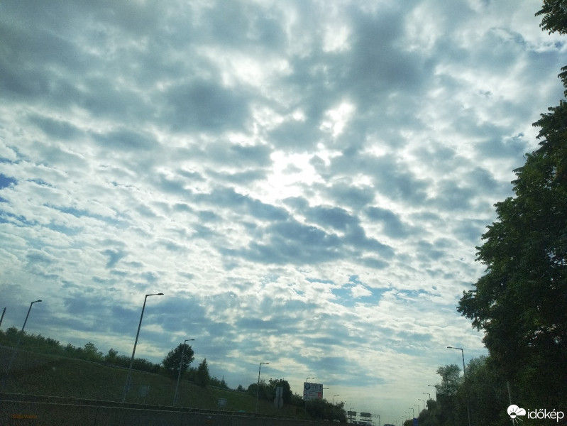 Mány