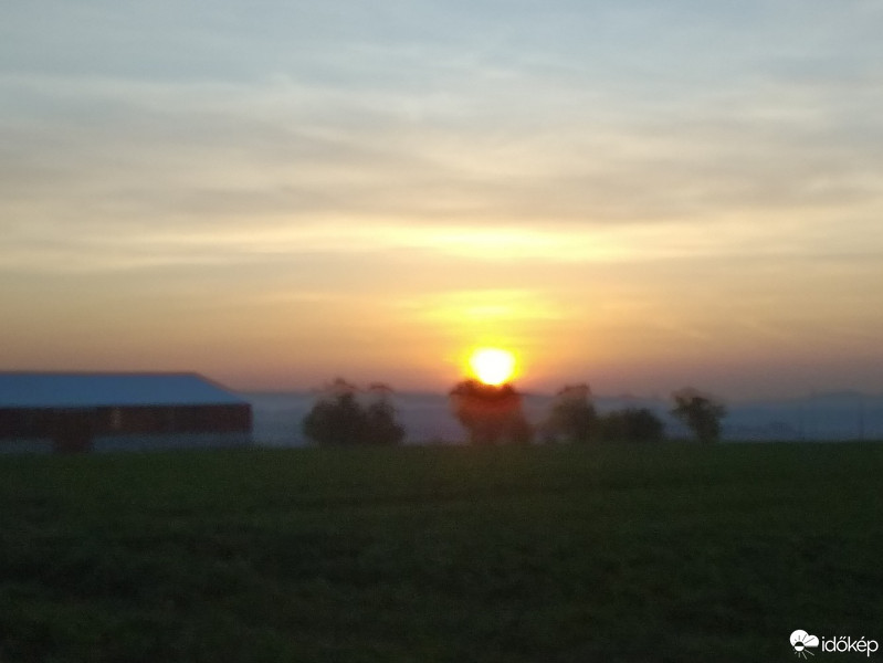 Mány