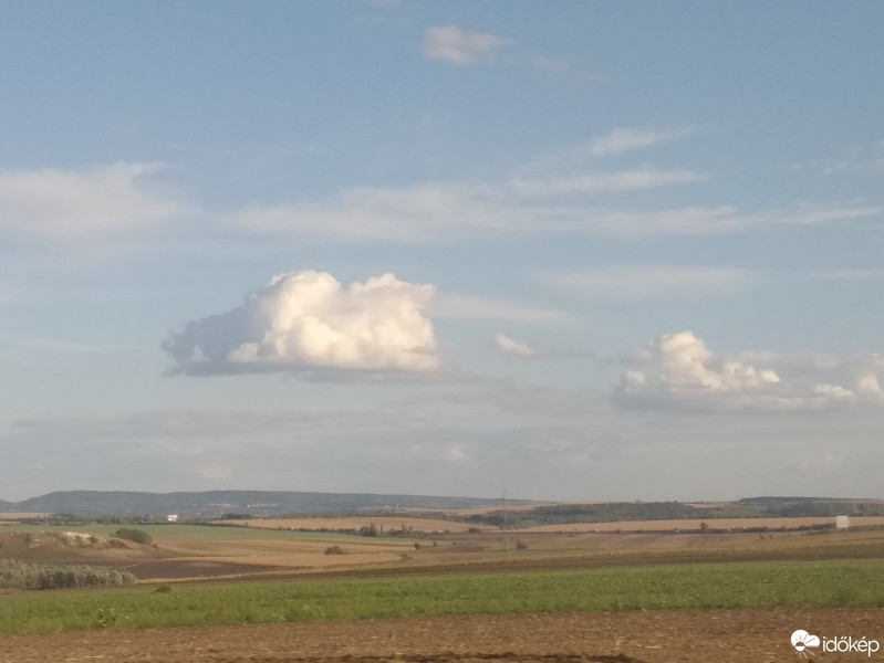 Mány