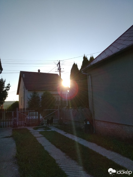Mány