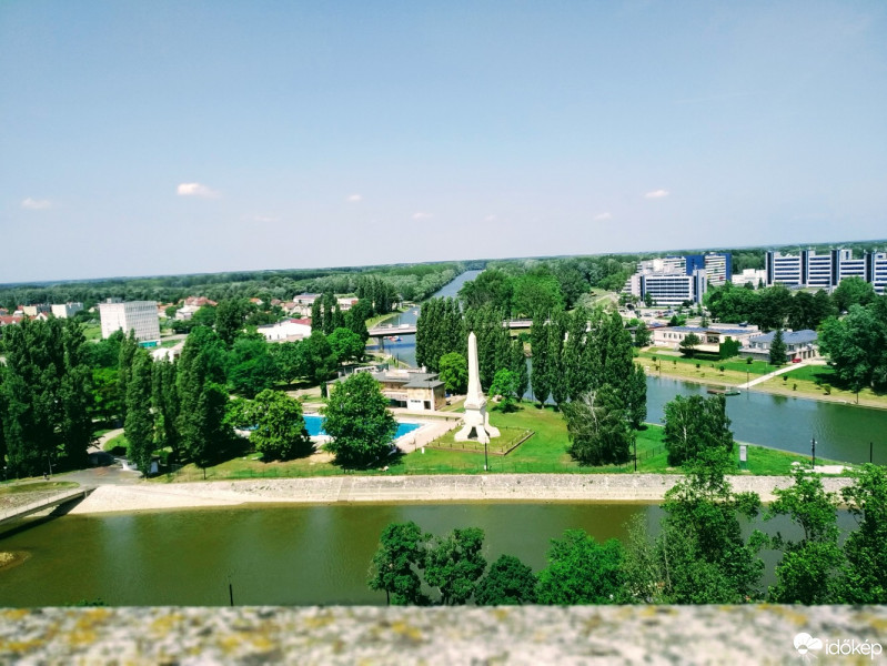 Mány