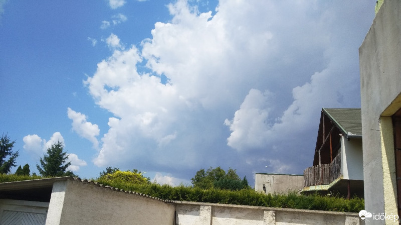 Mány