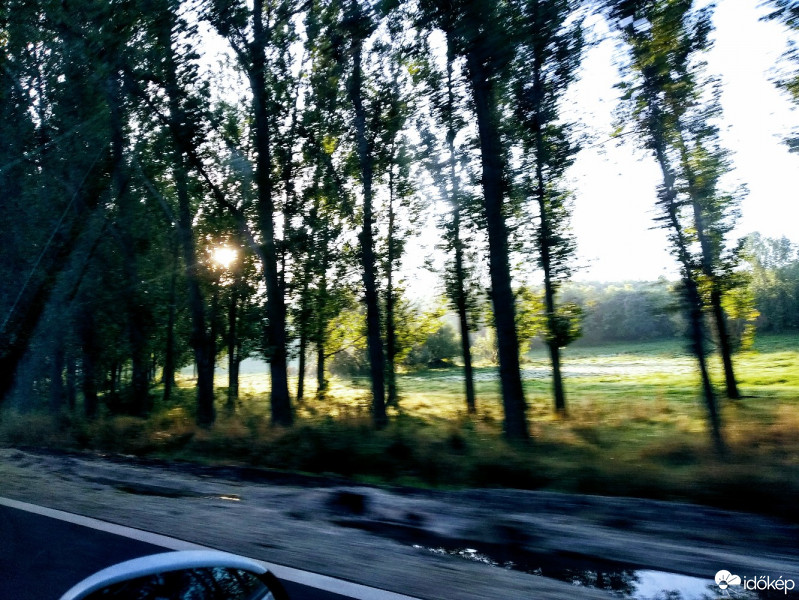 Mány