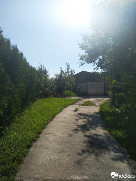 Mány