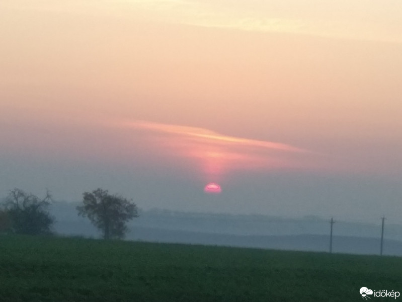 Mány