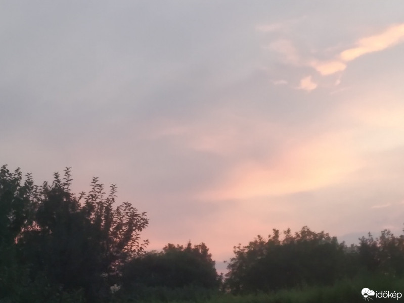 Mány