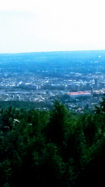 Mány