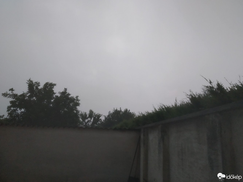 Mány