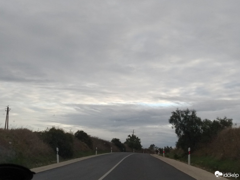 Mány