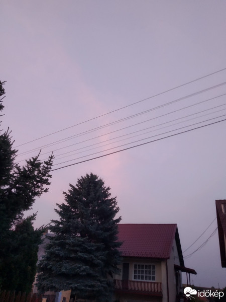 Mány