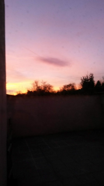 Mány
