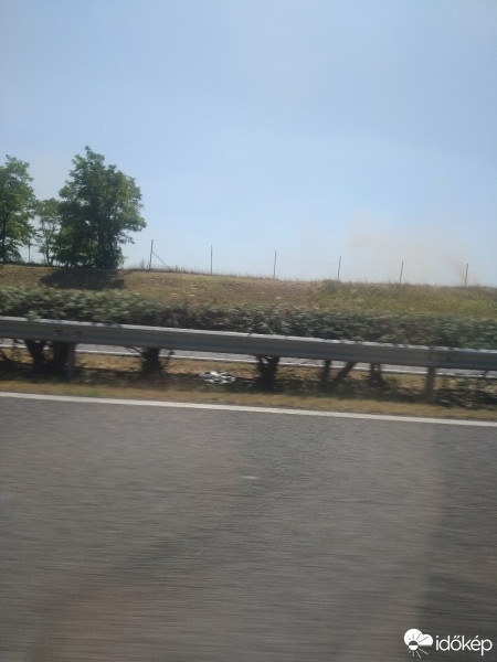 Mány