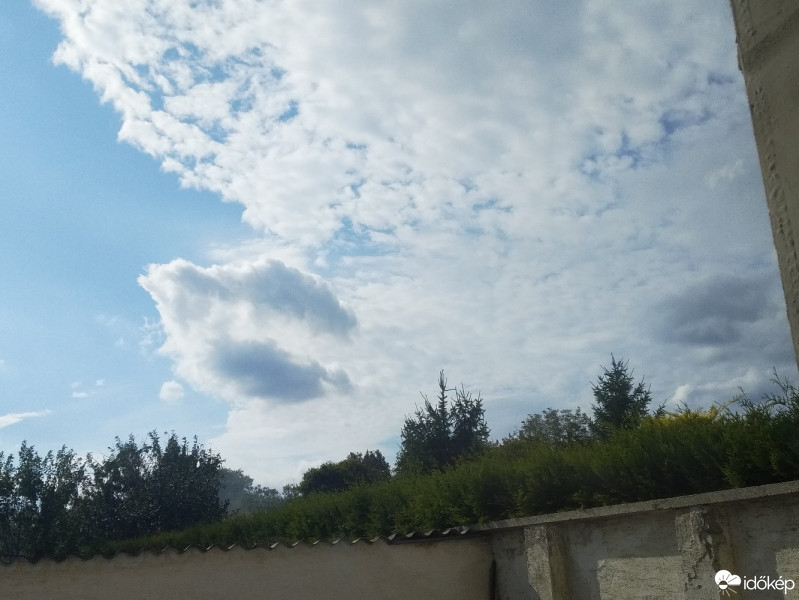 Mány
