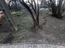 Felébredt a vakond is : )