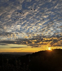 6:30