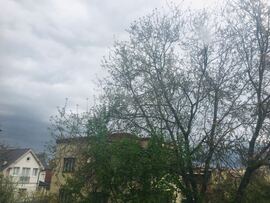 Uzhhorod