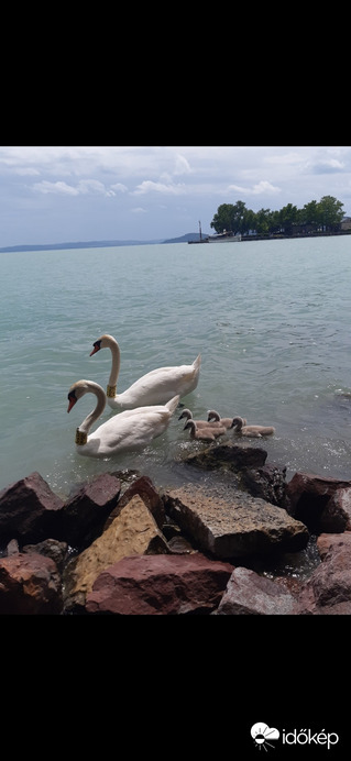 Balatonfüred