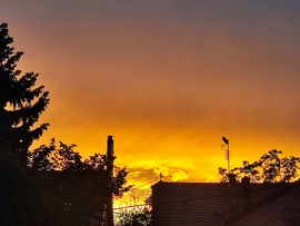Láva 
