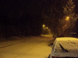 ponocli fotója