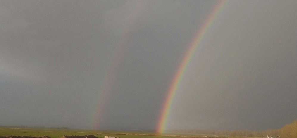 Budapest X.ker - Téglagyárdűlő