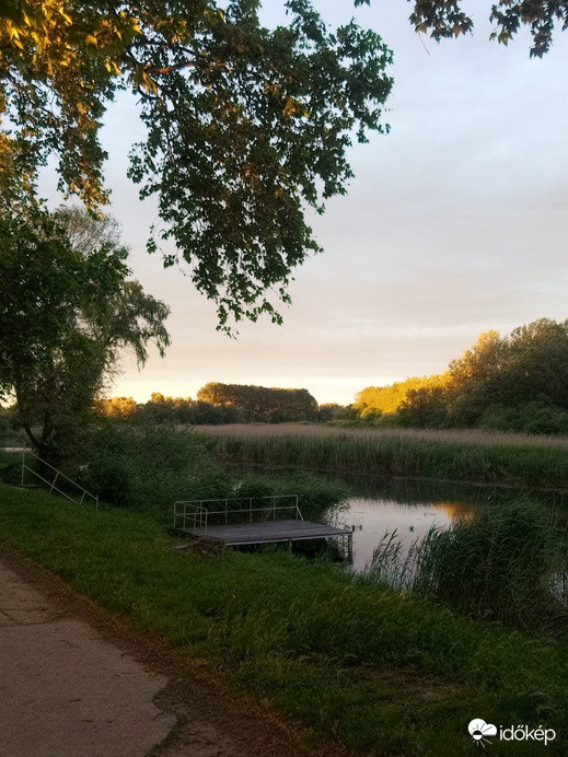 Dávod