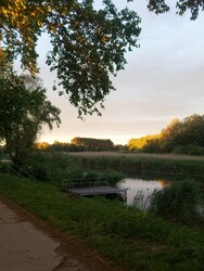 Dávod