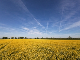 Karcos áprilisi reggel